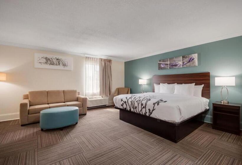 جناح سرير كينج, Sleep Inn & Suites Niceville   Destin