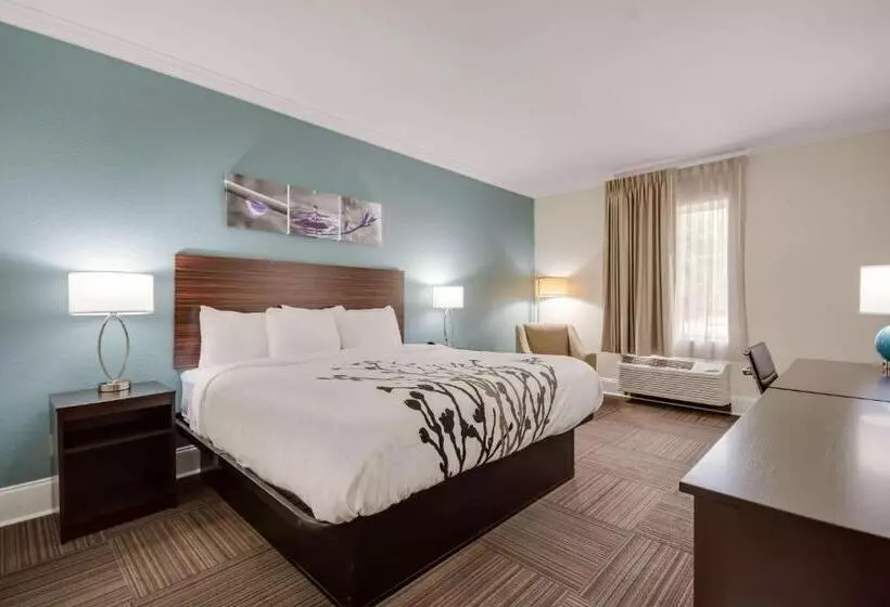 身障者適用キングサイズベッドルーム, Sleep Inn & Suites Niceville   Destin