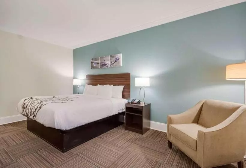 身障者適用キングサイズベッドルーム, Sleep Inn & Suites Niceville   Destin