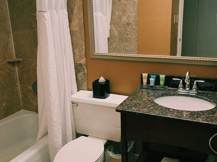 غرفه قياسيه سريرين مزدوجين, Wyndham Garden Warsaw