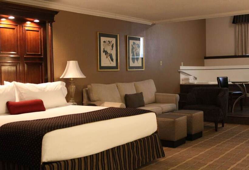 جناح, Wyndham Garden Warsaw