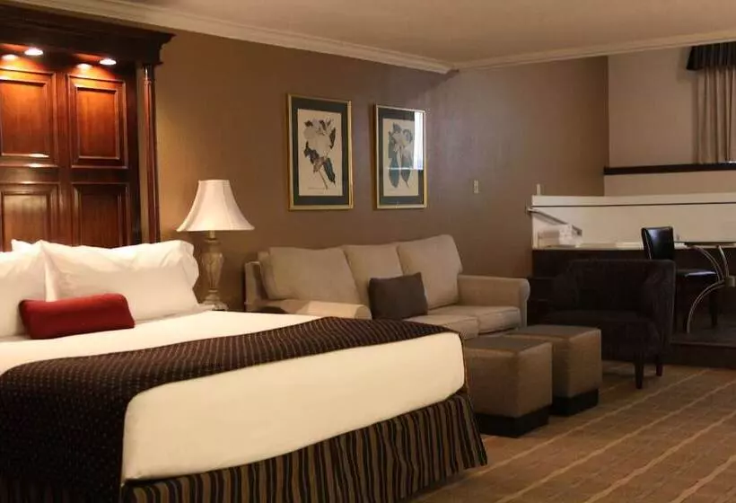 スイート, Wyndham Garden Warsaw