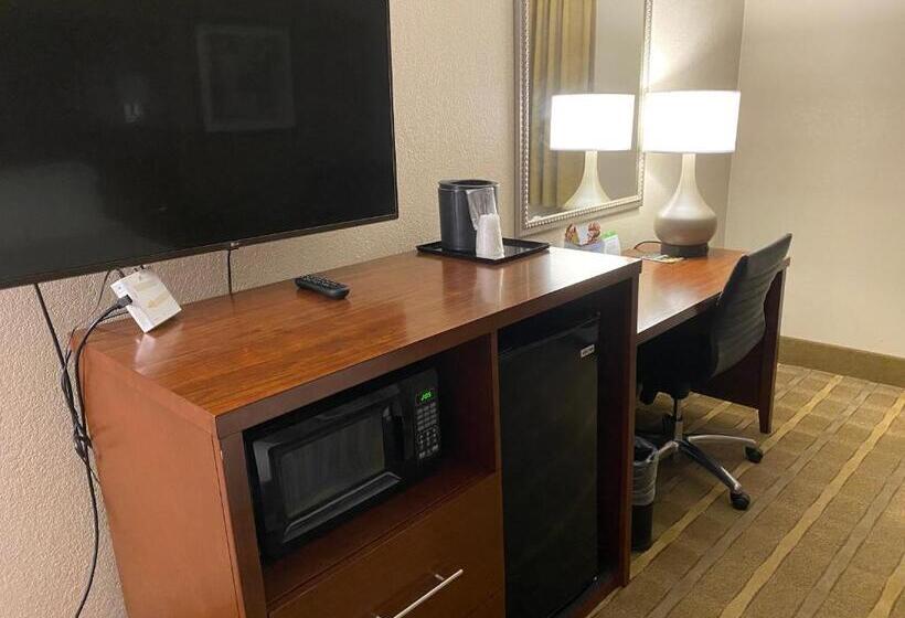 غرفة قياسية سرير كينج, Wyndham Garden Warsaw