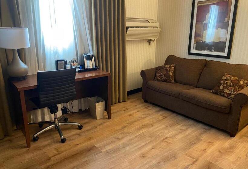 جناح, Wyndham Garden Warsaw