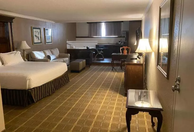 キングサイズベッドのスイートルーム, Wyndham Garden Warsaw