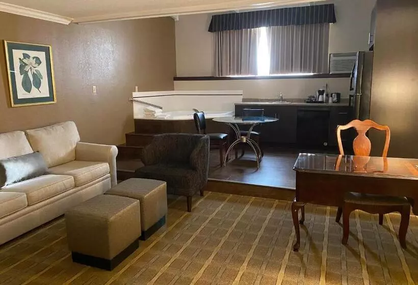 キングサイズベッドのスイートルーム, Wyndham Garden Warsaw