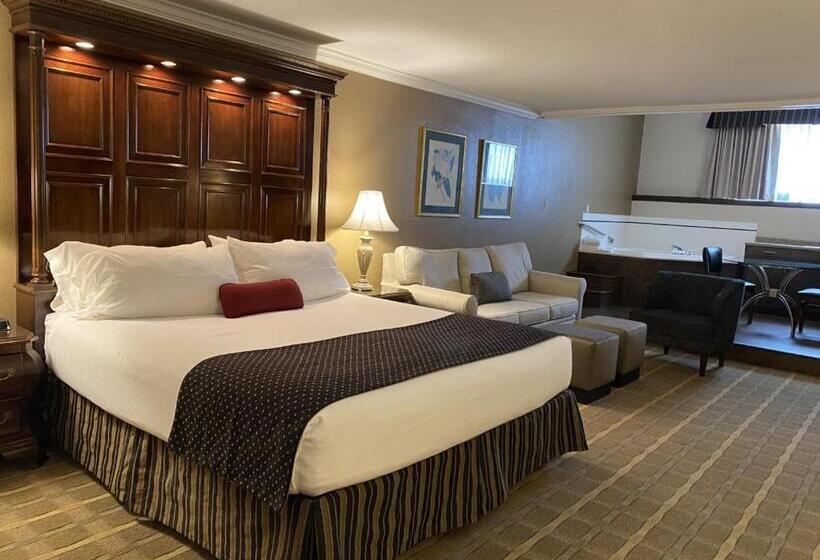 جناح سرير كينج, Wyndham Garden Warsaw