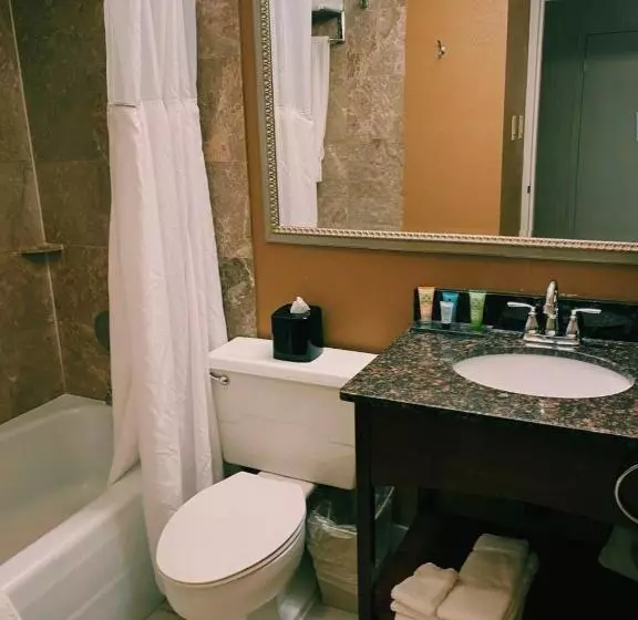 バルコニー付きスタンダードルーム, Wyndham Garden Warsaw