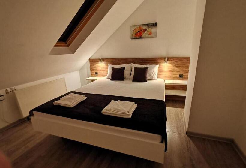 آپارتمان 1 خوابه, Niš City Center Guest House