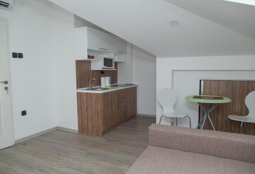 آپارتمان 1 خوابه, Niš City Center Guest House