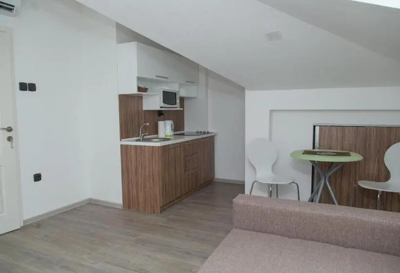 آپارتمان 1 خوابه, Niš City Center Guest House