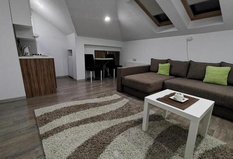 آپارتمان 1 خوابه, Niš City Center Guest House