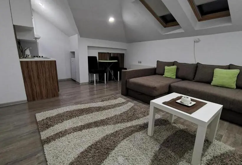 آپارتمان 1 خوابه, Niš City Center Guest House