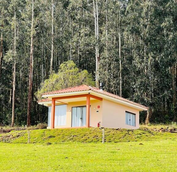 シャレー・スペリアー1寝室, Hope Valley Adventure