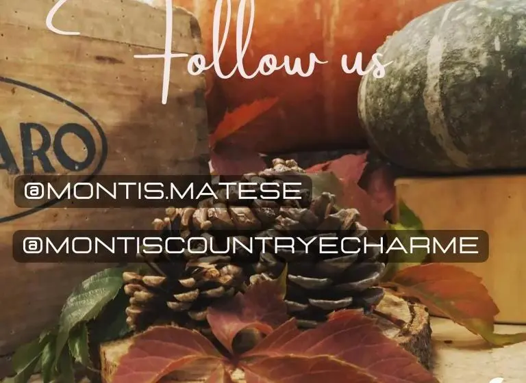 バルコニー付きデラックスルーム, Montis Country & Charme