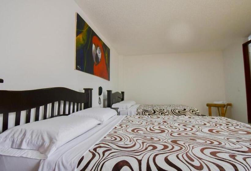 スタンダード4人部屋, Toledo Plaza