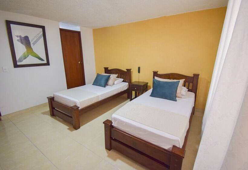 スタンダードルーム, Toledo Plaza