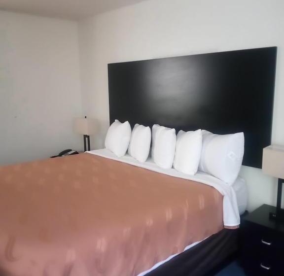 غرفة قياسية سرير كينج لذوى الإحتياجات الخاصة, Fairbridge Inn & Suites Sunnyside