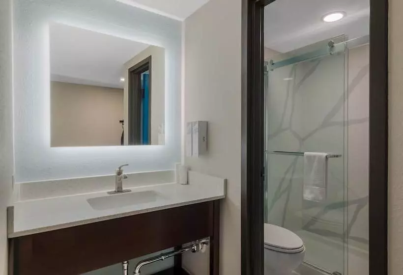 スイート, Red Roof Plus & Suites Virginia Beach   Seaside