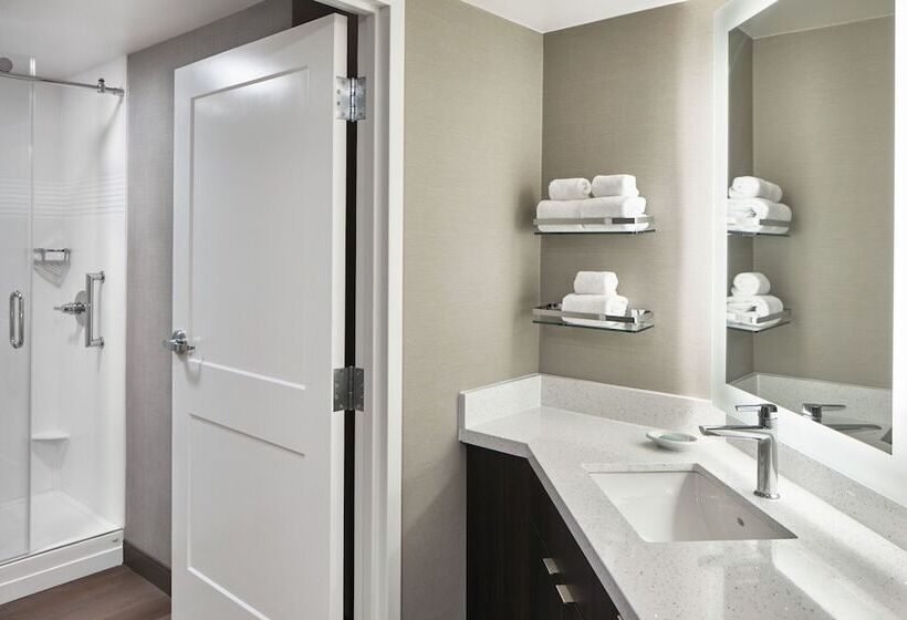 Люкс 2 Спальни, Residence Inn By Marriott Rochester West Greece
