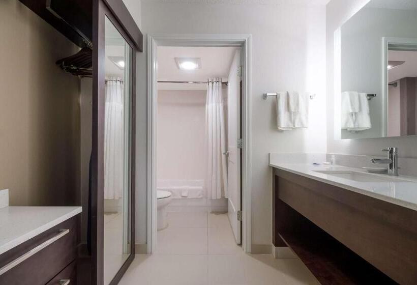 Студия Стандарт, Sonesta Es Suites Dallas Richardson