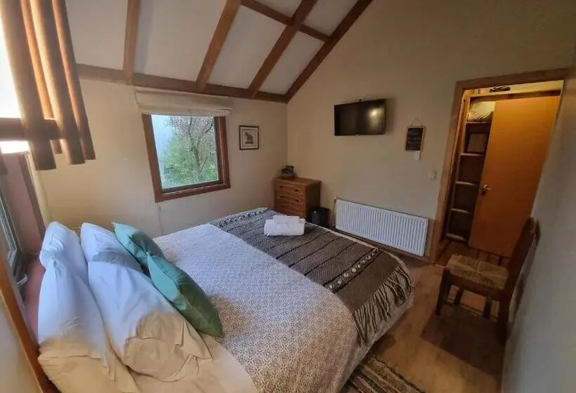 デラックスルーム, Hostel Torobayo