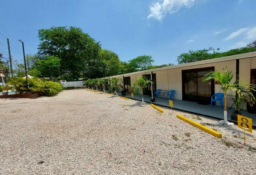 标准间, Carlota Tamarindo