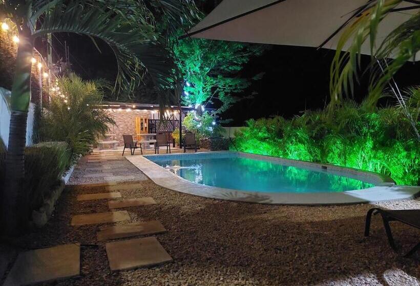 标准间, Carlota Tamarindo