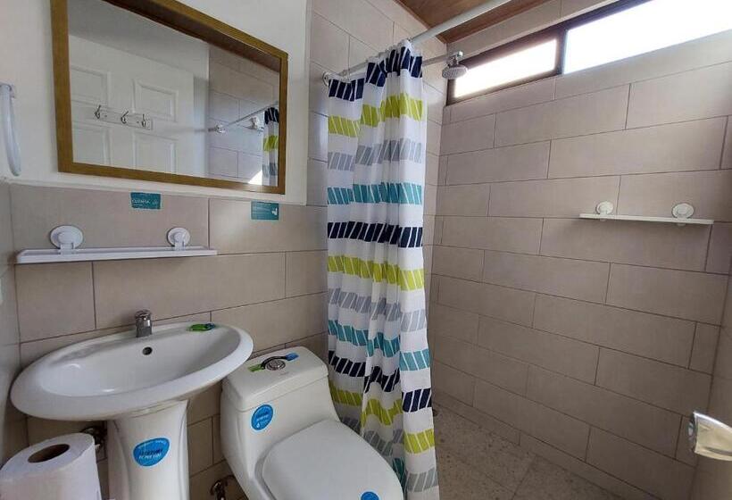 标准间, Carlota Tamarindo