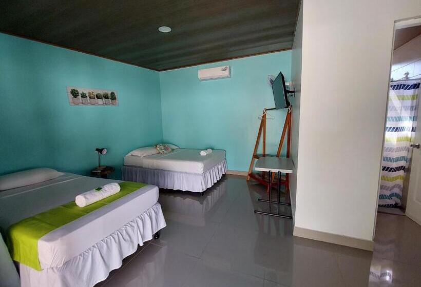 标准间, Carlota Tamarindo