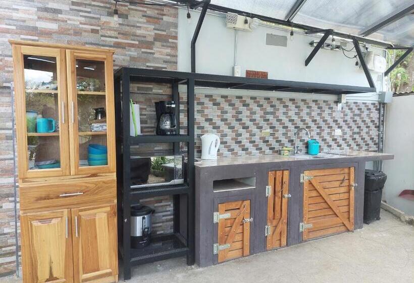 标准间, Carlota Tamarindo