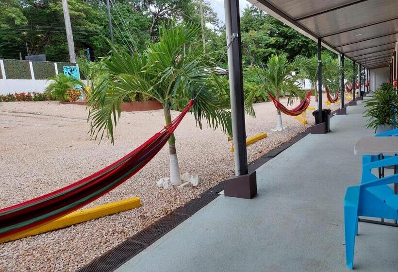 带2个双人床的标准工作室, Carlota Tamarindo