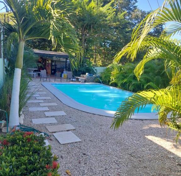 带2个双人床的标准工作室, Carlota Tamarindo