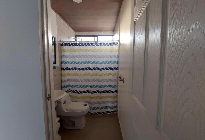 标准间, Carlota Tamarindo