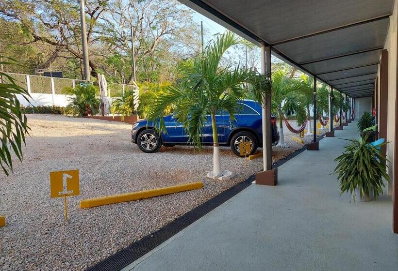 标准间, Carlota Tamarindo