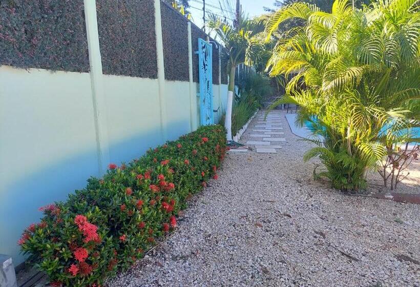 带2个双人床的标准工作室, Carlota Tamarindo