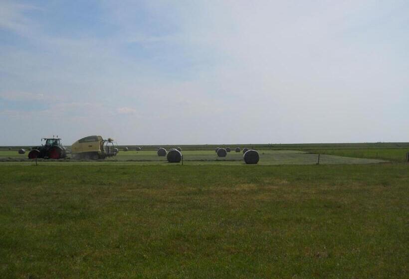 חדר דלוקס, De Stormvogel