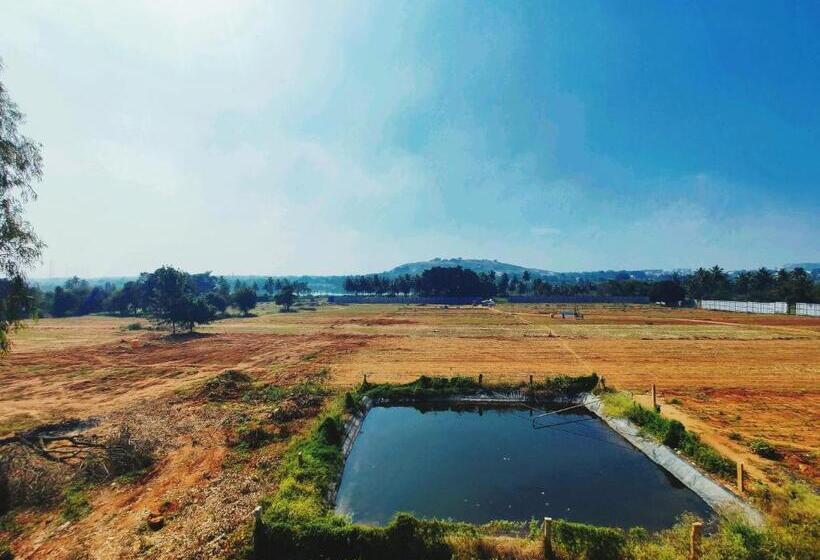 غرفة قياسية, Airport City