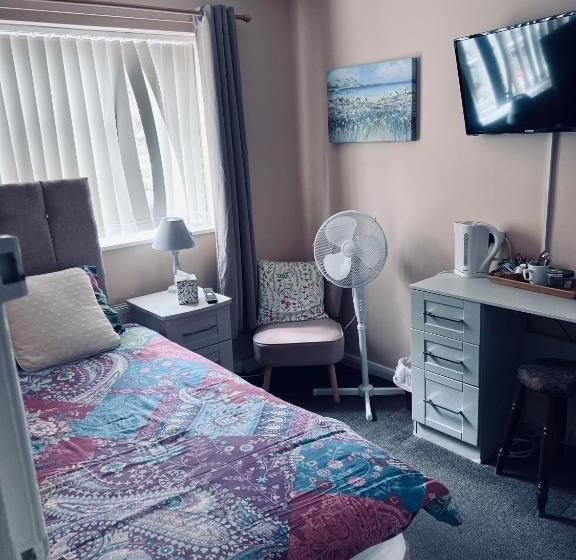 غرفة قياسية فردية, The Mallards