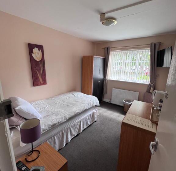 غرفة قياسية فردية, The Mallards