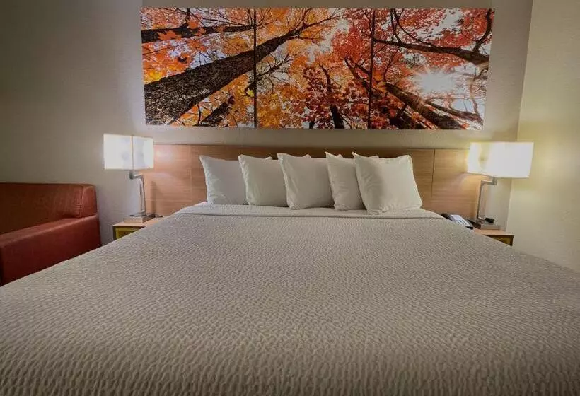Standard-huone King-vuode, Days Inn & Suites By Wyndham Kaukauna Wi