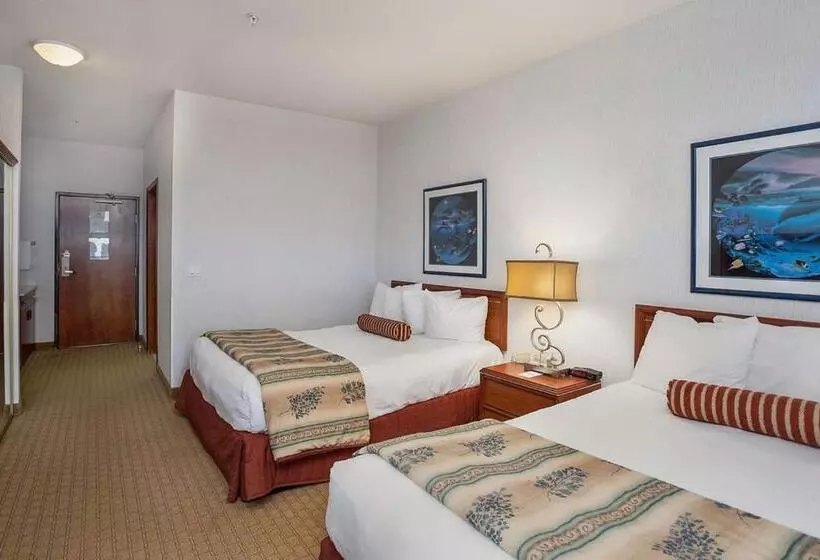 スタンダードルーム, Shilo Inn Suites Ocean Shores