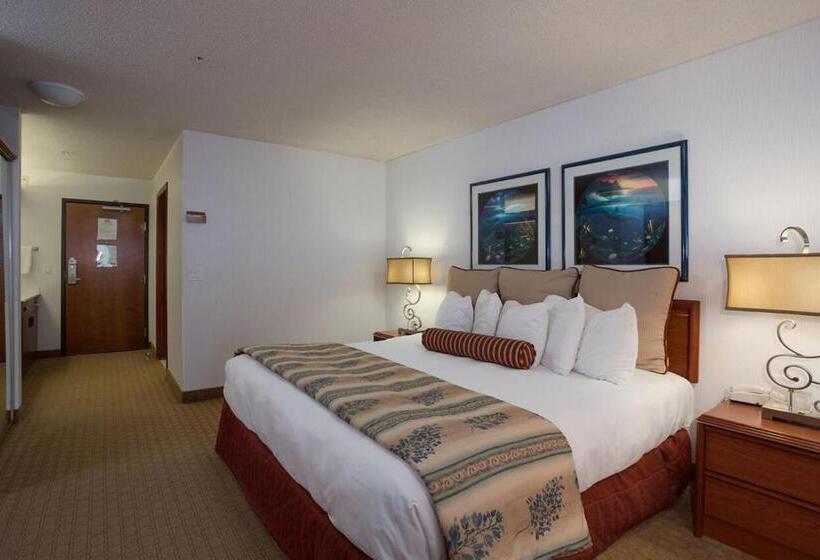 غرفة قياسية سرير كينج, Shilo Inn Suites Ocean Shores