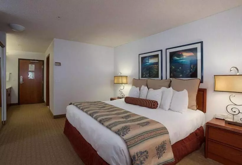 キングサイズベッドのスタンダードルーム, Shilo Inn Suites Ocean Shores