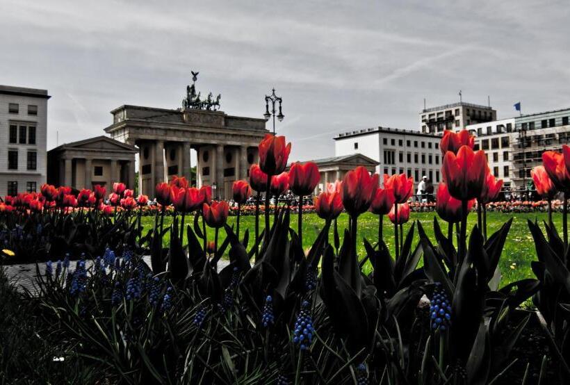 اتاق استاندارد چهارنفره با سرویس بهداشتی مشترک, Bnb Potsdamer Platz Rooms & Apartments