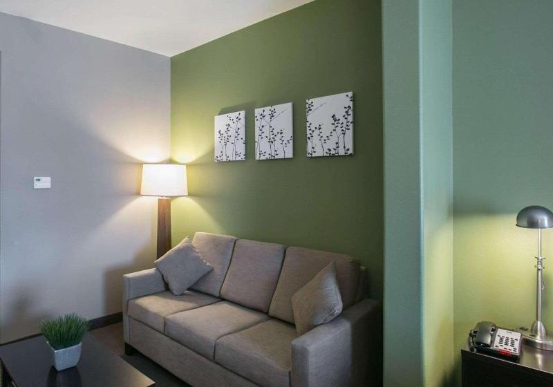 キングサイズベッドのスイートルーム, Sleep Inn & Suites Round Rock   Austin North