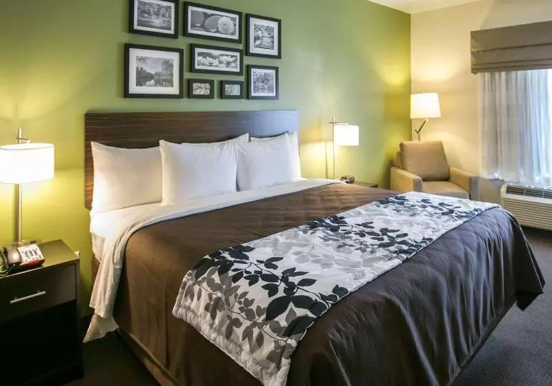 キングサイズベッドのスイートルーム, Sleep Inn & Suites Round Rock   Austin North