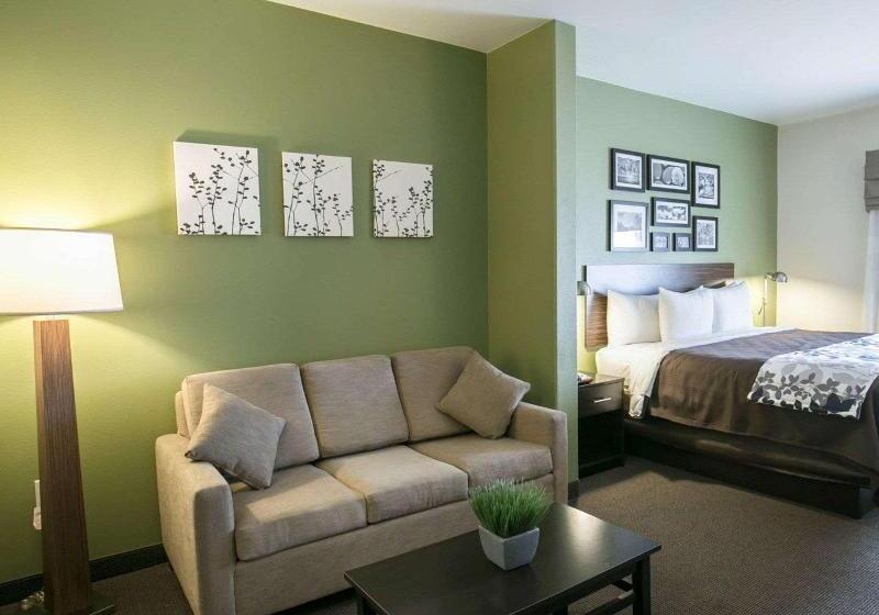 キングサイズベッドのスイートルーム, Sleep Inn & Suites Round Rock   Austin North