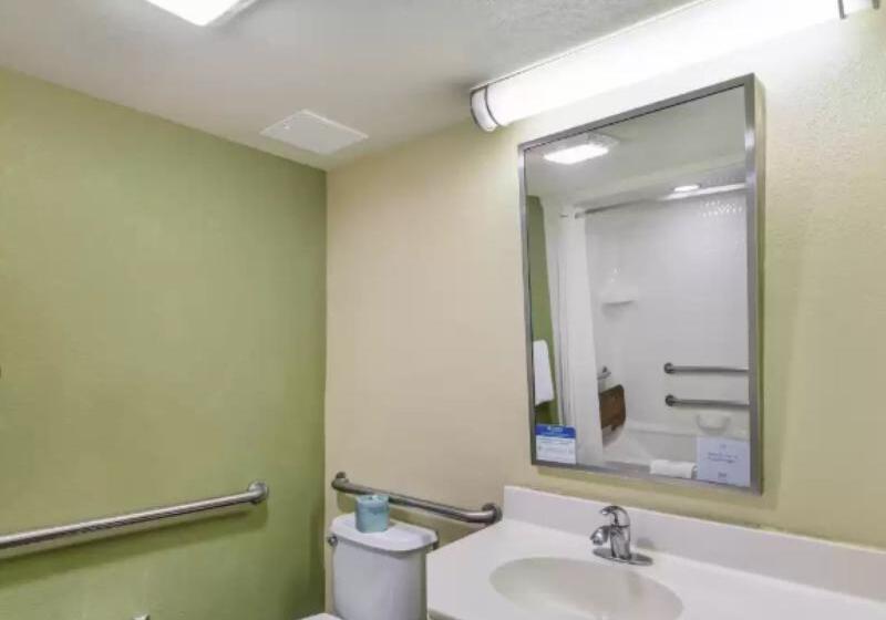 غرفة قياسية لذوى الاحتياجات الخاصة, Sleep Inn Denver Tech Center