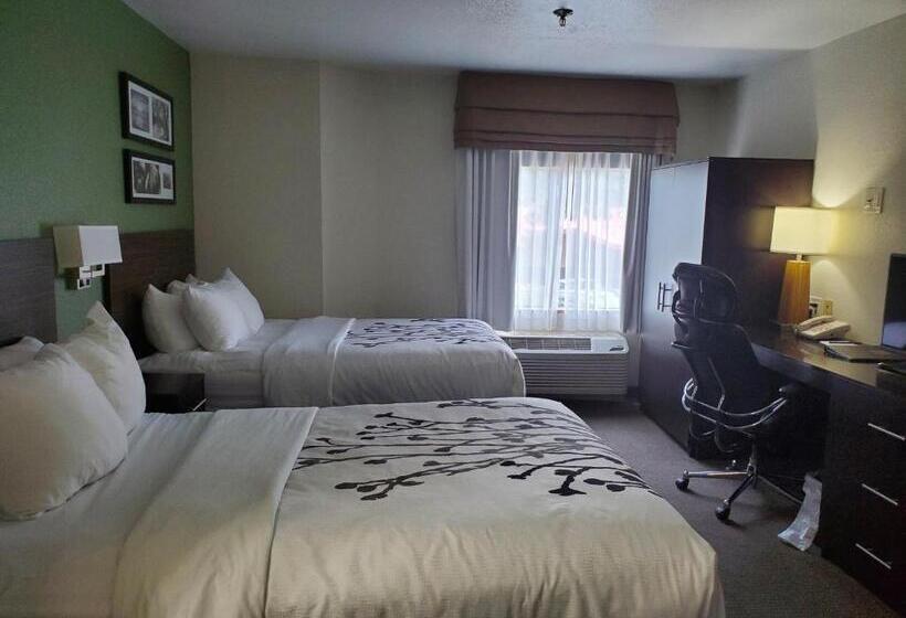 חדר דלוקס, Sleep Inn Horn Lakesouthaven